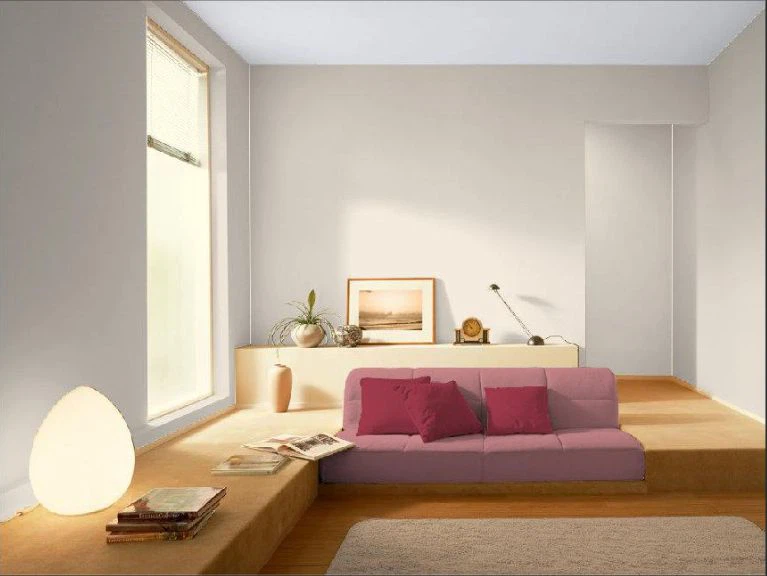 Anti-mold Latex Paint